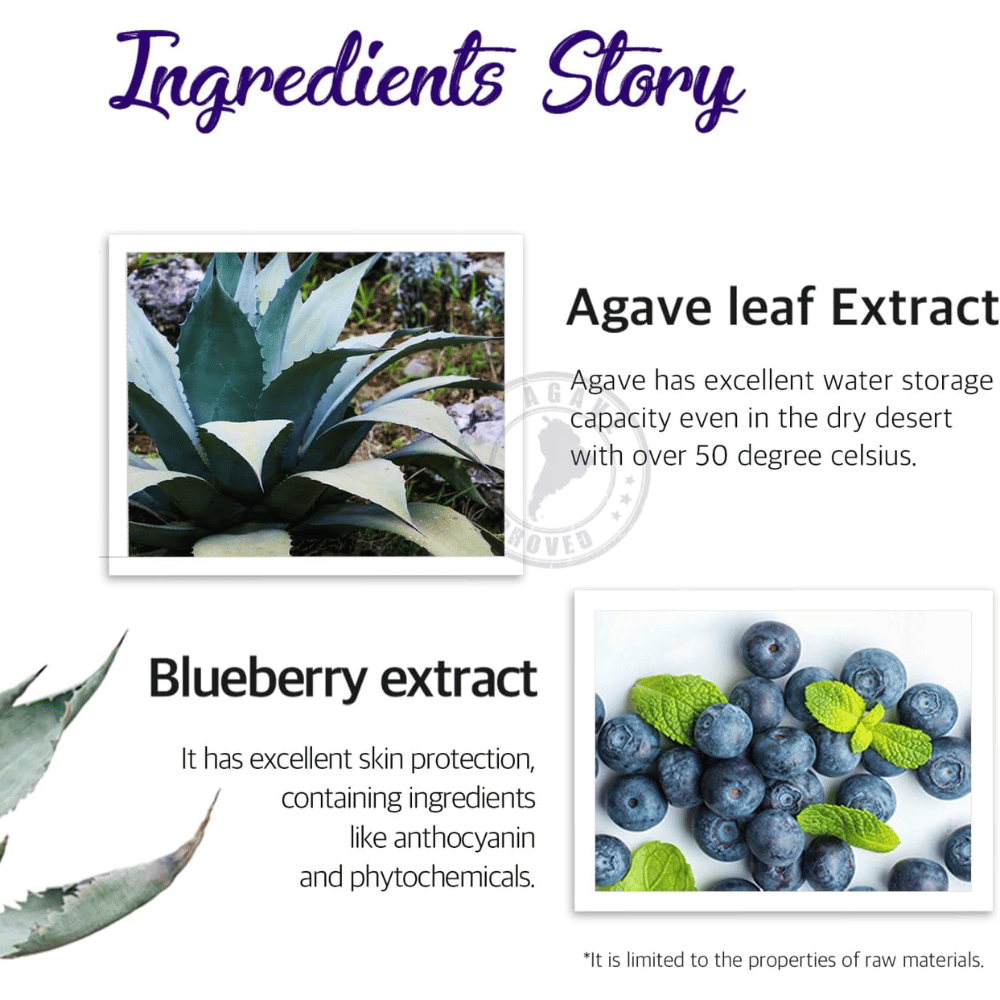 Image d’information sur les ingrédients tels que l’extrait de feuille d’agave et l’extrait de myrtille. L’accent est mis sur l’hydratation, la protection de la peau et les propriétés soin issues d’ingrédients d’origine végétale.