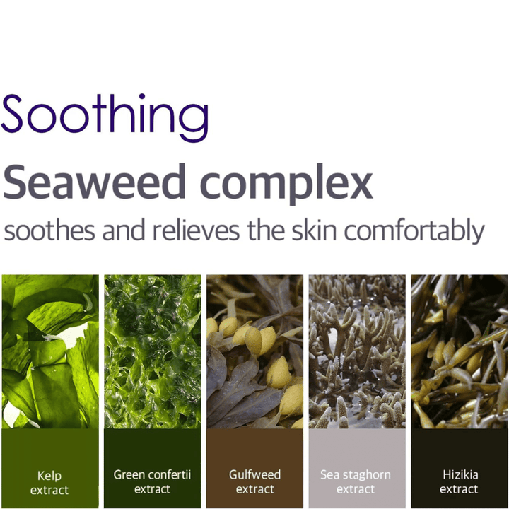 Image d’information sur le Seaweed Complex avec différentes algues et extraits marins qui aident à apaiser, rafraîchir et apporter du confort à la peau autour des yeux.