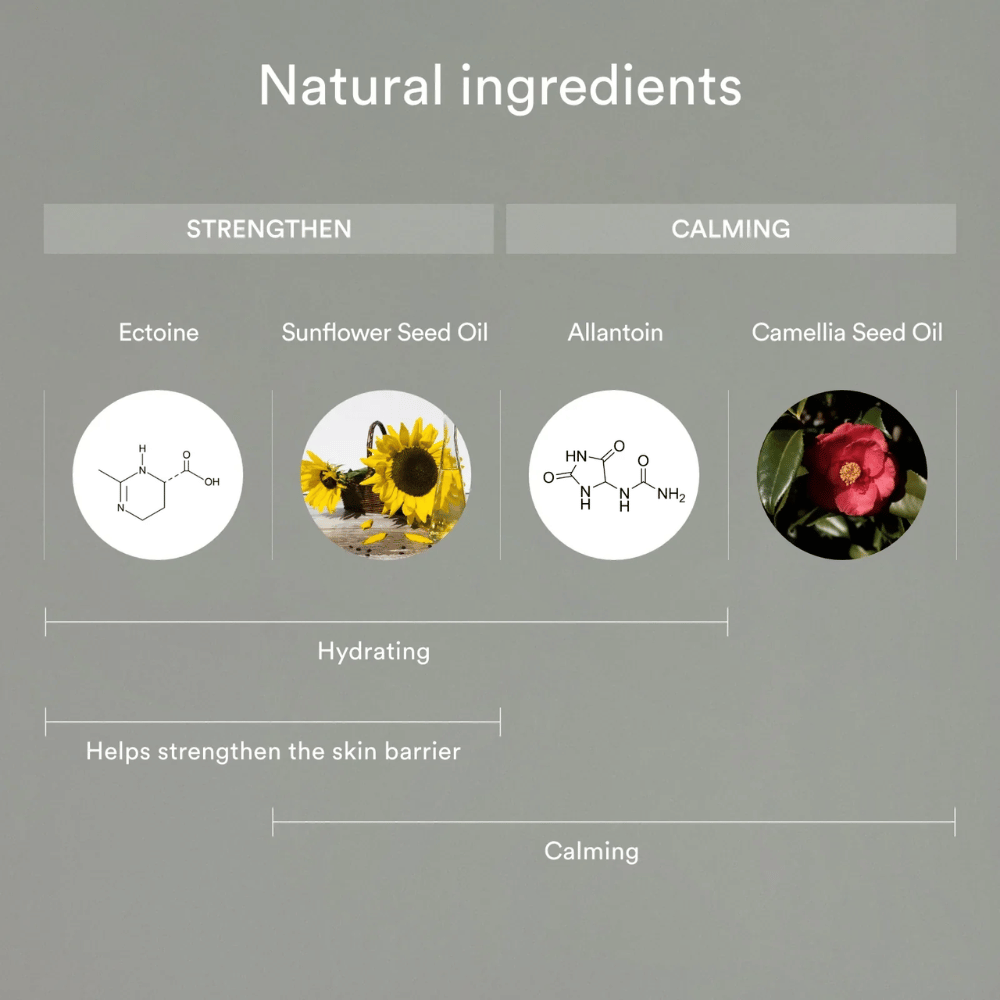 L'image montre des ingrédients naturels qui renforcent et apaisent la peau : l'ectoine et l'huile de graines de tournesol aident à hydrater et renforcer la barrière cutanée, tandis que l'allantoïne et l'huile de graines de camélia apaisent et protègent la peau sensible.