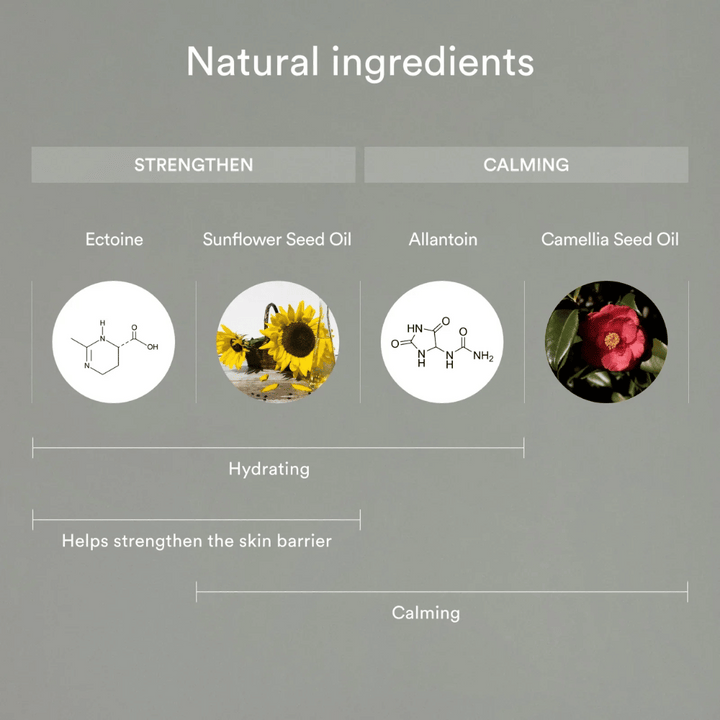 L'image montre des ingrédients naturels qui renforcent et apaisent la peau : l'ectoine et l'huile de graines de tournesol aident à hydrater et renforcer la barrière cutanée, tandis que l'allantoïne et l'huile de graines de camélia apaisent et protègent la peau sensible.