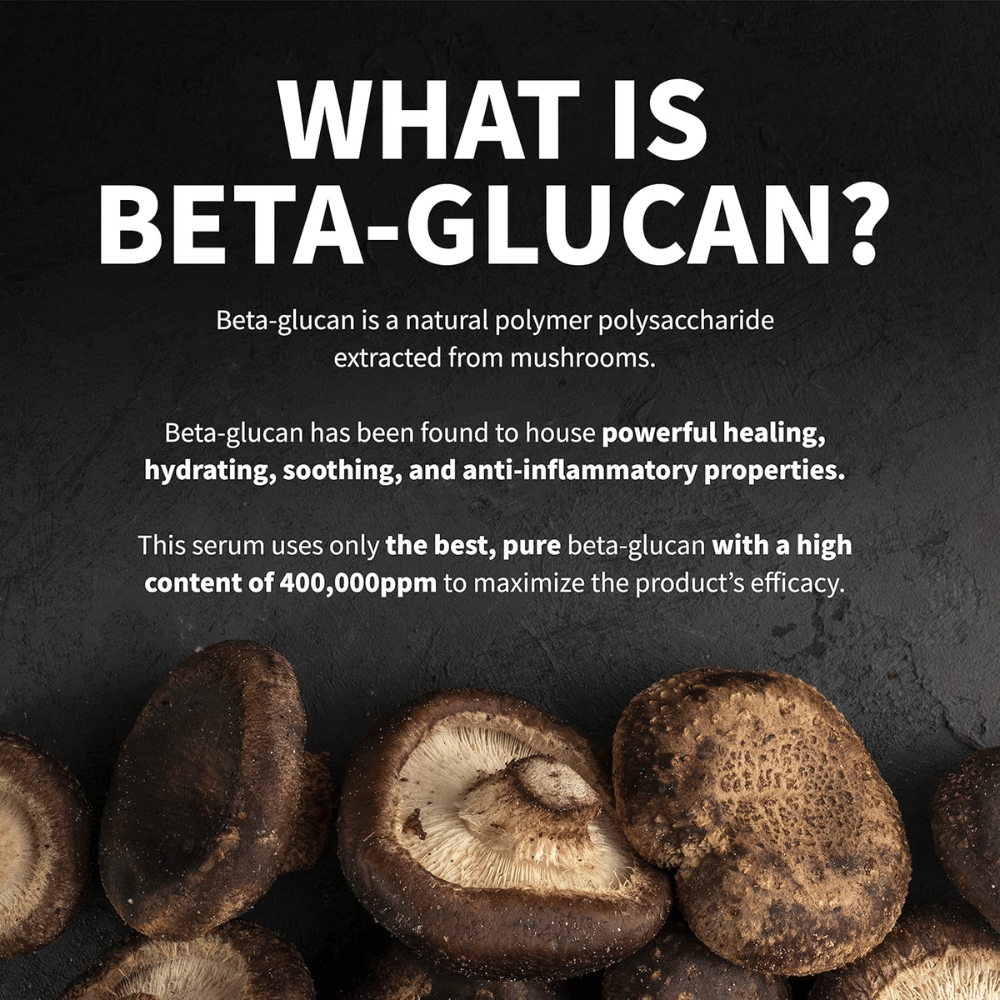 Image informative expliquant ce qu’est le bêta-glucane. L’image montre des champignons comme source de matière première et décrit le bêta-glucane comme un ingrédient aux propriétés hydratantes, apaisantes et bénéfiques pour la peau.