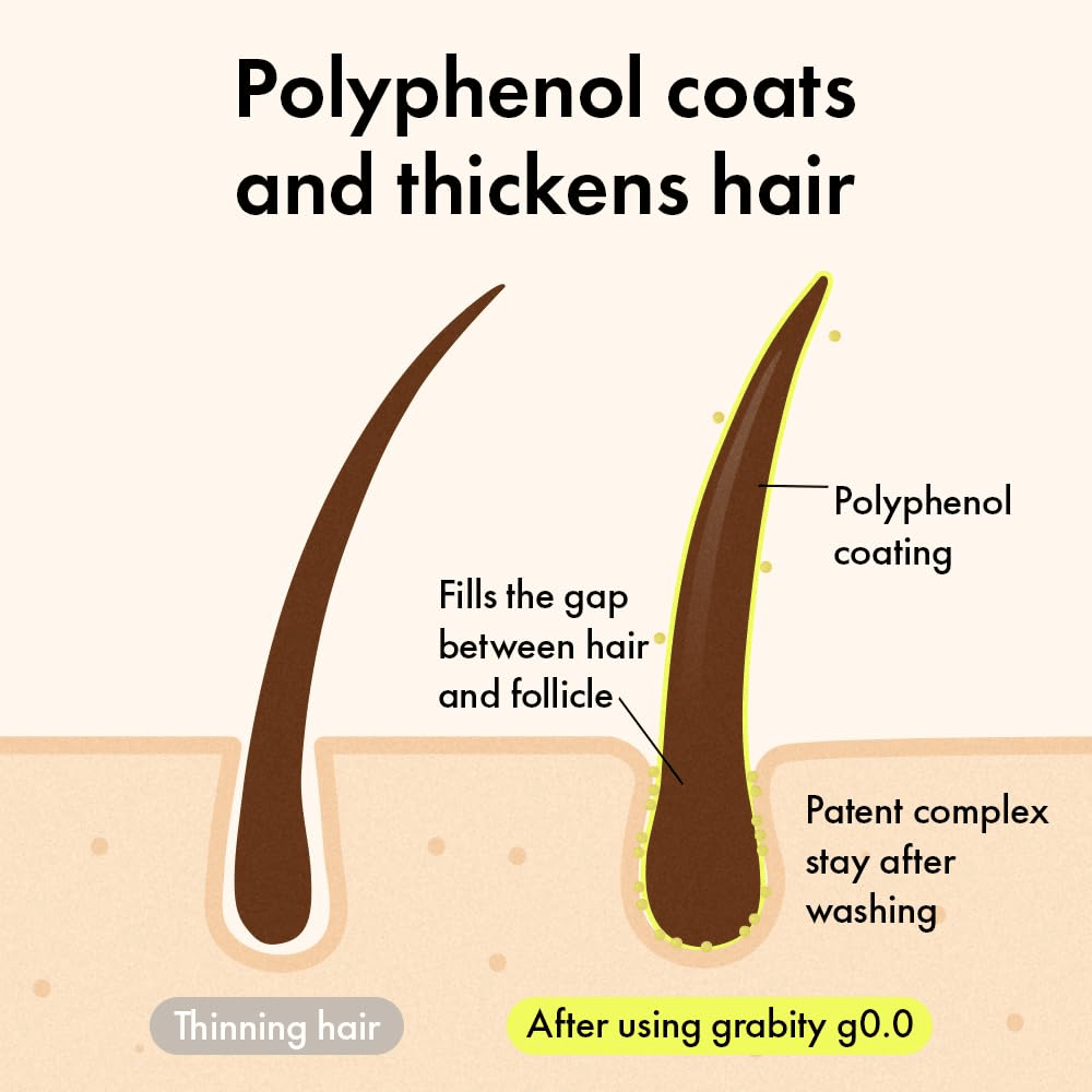 Schéma montrant comment les polyphénols enveloppent la fibre capillaire pour créer un aspect plus épais et plus volumineux avec un effet volumateur longue durée.