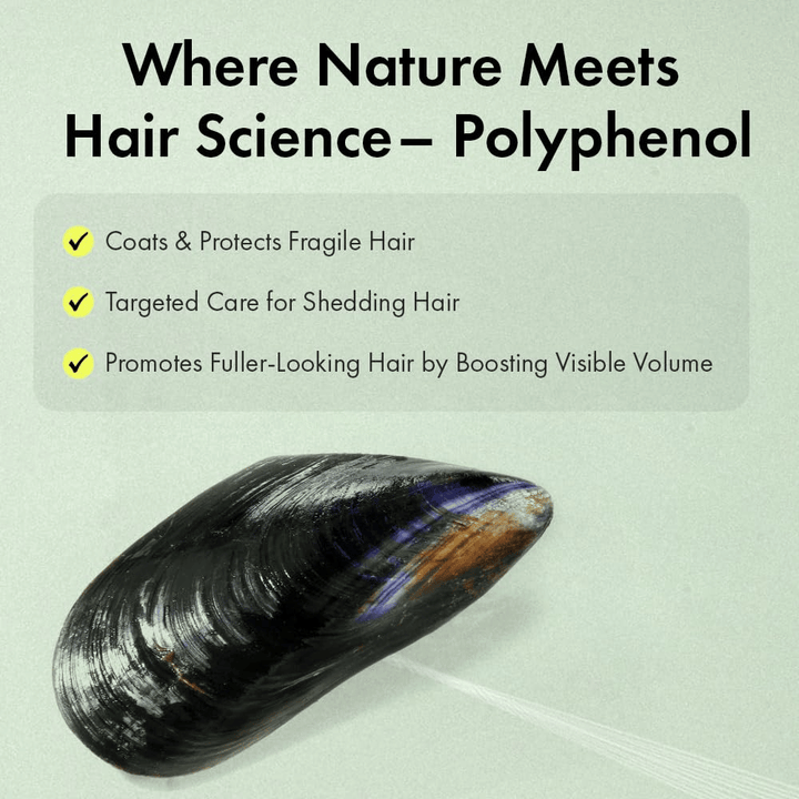 Illustration de la technologie aux polyphénols qui aide à protéger les fibres capillaires fragiles, à prendre soin des cheveux perçus comme plus fins et à contribuer à une chevelure plus dense avec un volume plus visible.