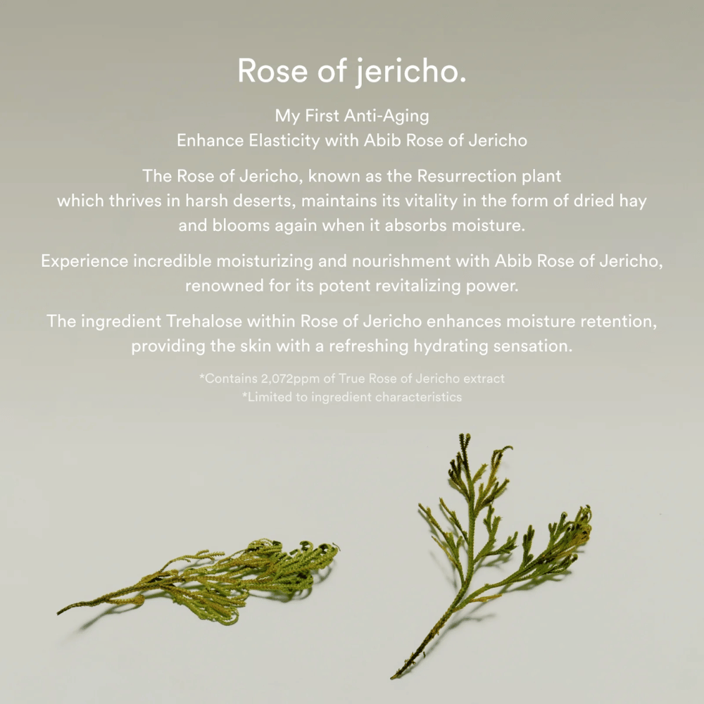 Image informative sur l’extrait de Rose de Jéricho décrivant les propriétés hydratantes et revitalisantes de la plante pour la peau.