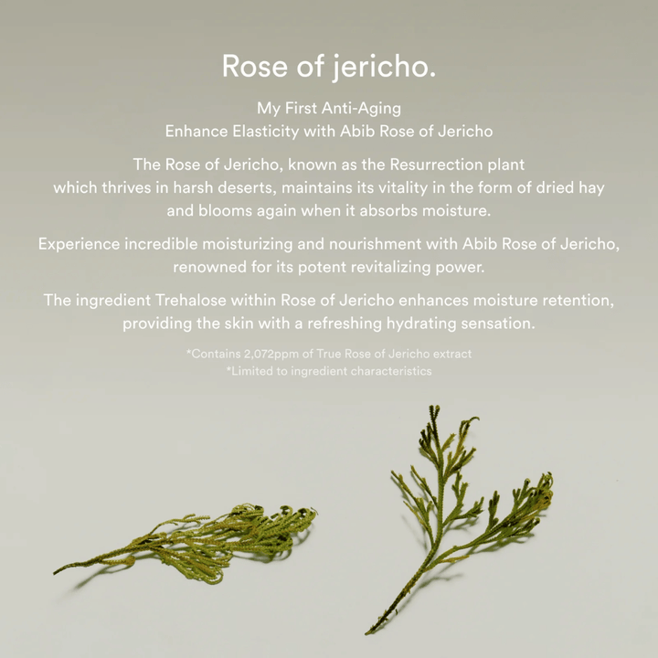 Image informative sur l’extrait de Rose de Jéricho décrivant les propriétés hydratantes et revitalisantes de la plante pour la peau.