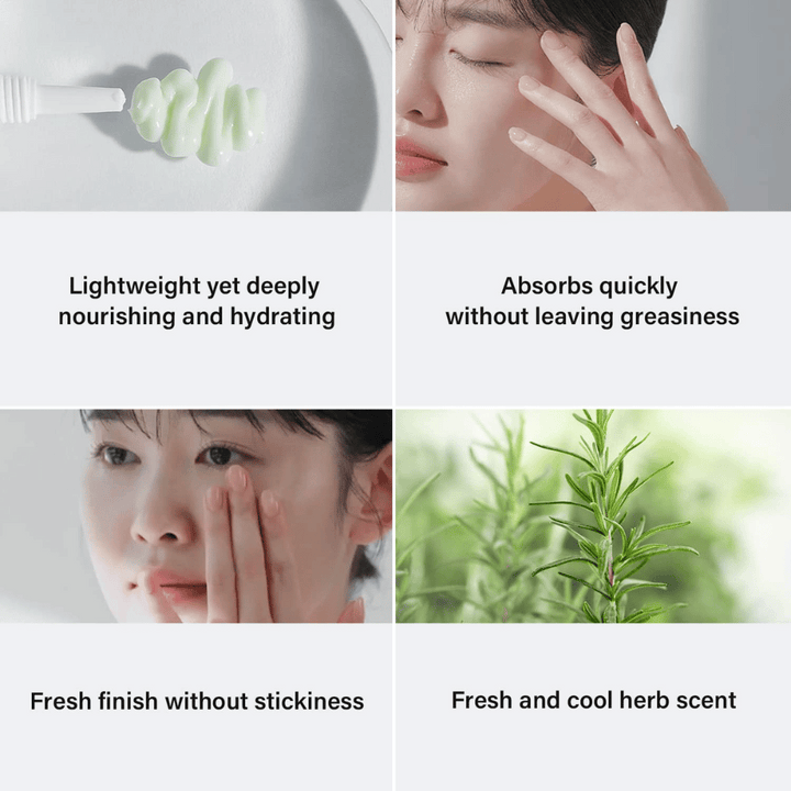 Quatre images montrant les avantages d'un produit de soin de la peau. En haut à gauche, une crème verte sur une brosse, avec le texte "Légère mais profondément nourrissante et hydratante." En haut à droite, une femme appliquant le produit, avec le texte "Absorbe rapidement sans laisser de gras." En bas à gauche, une femme massant le produit, avec le texte "Finition fraîche sans collant." En bas à droite, une image de romarin avec le texte "Parfum d'herbe frais et rafraîchissant."