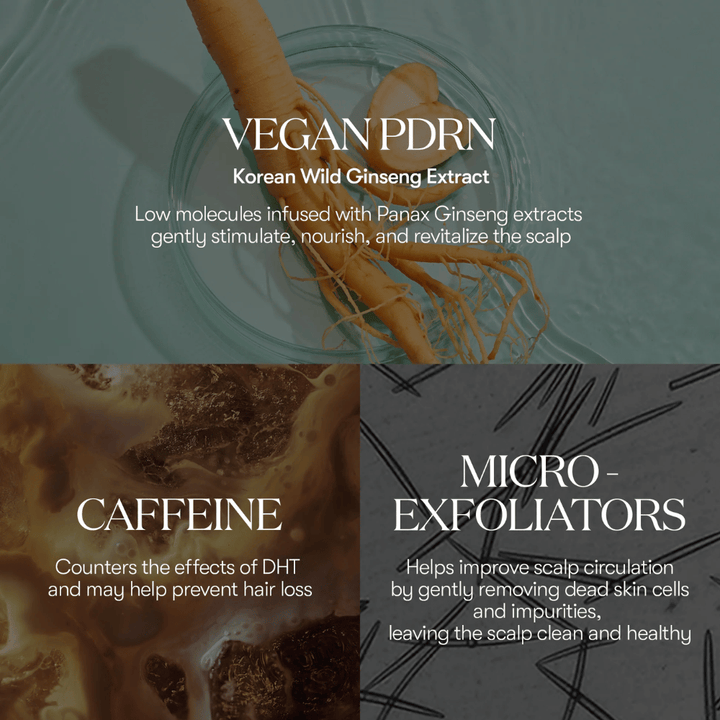 Illustration des ingrédients actifs dans PDRN Reedle Shot Hair Ampoule 100dL avec PDRN vegan de ginseng sauvage coréen, de caféine et de micro-exfoliants qui soignent et revitalisent le cuir chevelu.